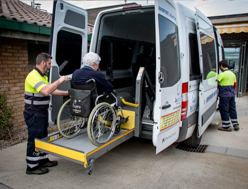 XOFER FURGONETA (transport persones)