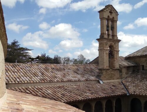 Nova fase d’obres al monestir de Sant Tomàs de Riudeperes
